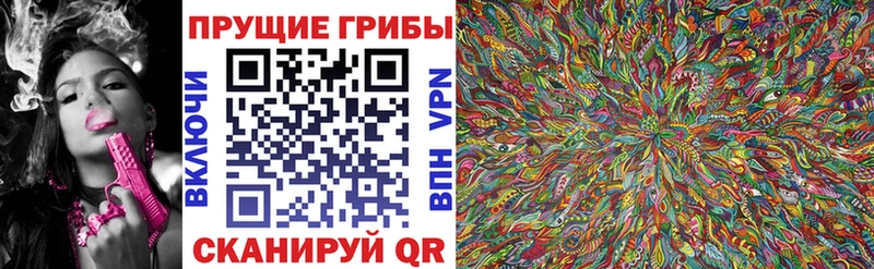 закладки Чусовой кракен вход Галлюциногенные грибы мицелий